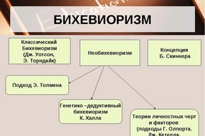 Что собой представляет бихевиористский подход и как в нем понимается и изучается личность